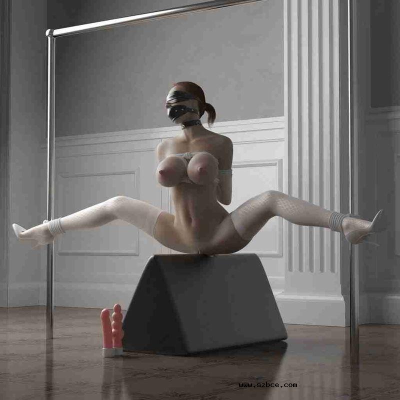 【AI生成】3D 束缚艺术品