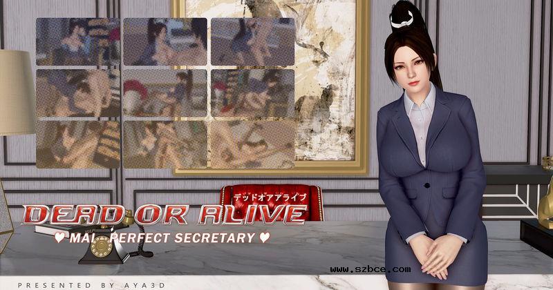 【3D】KOF_能幹的女秘書_不知火舞