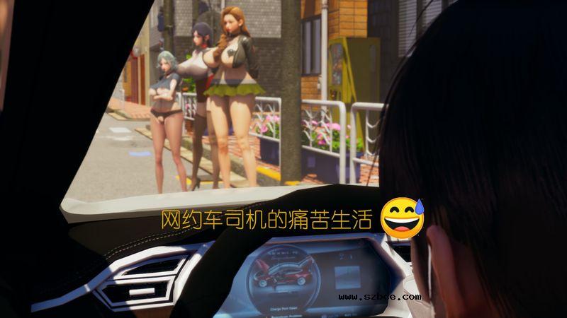 【3D】网约车司机