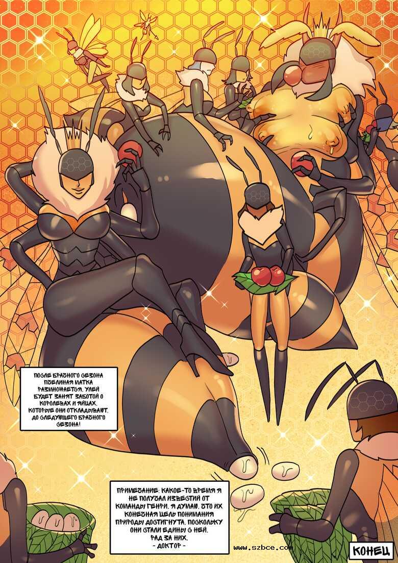 [英文]Mellifera Vita