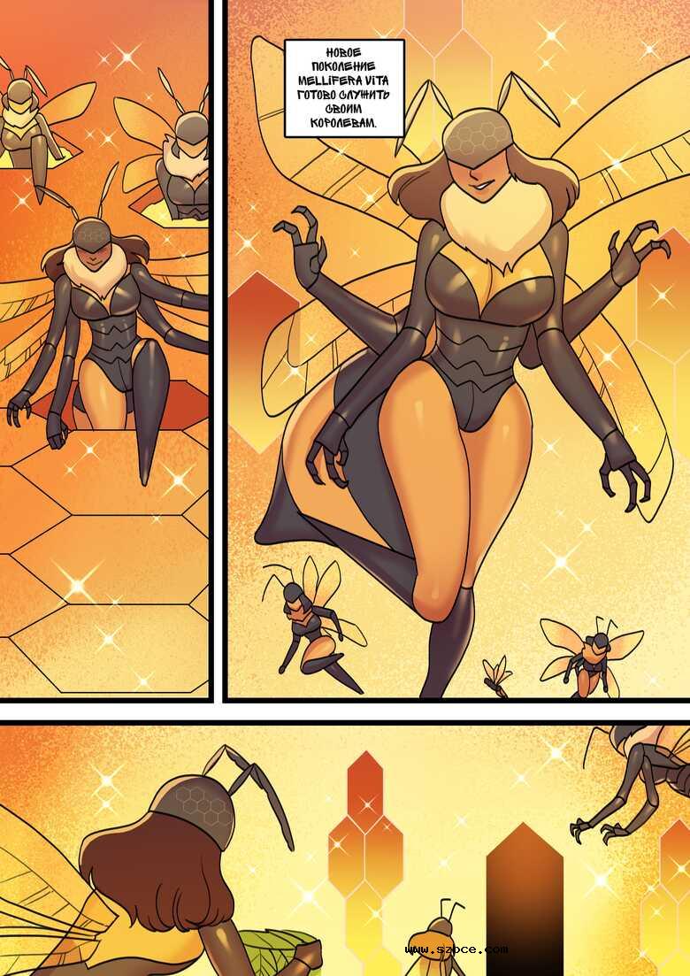 [英文]Mellifera Vita