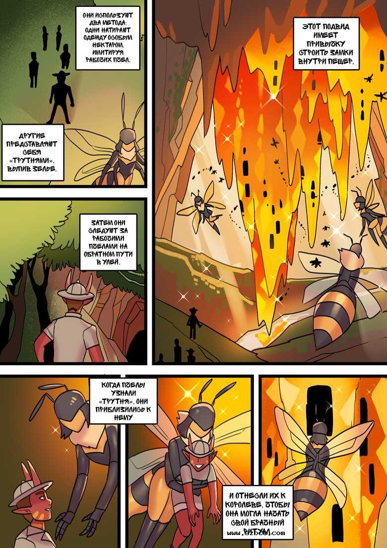 [英文]Mellifera Vita