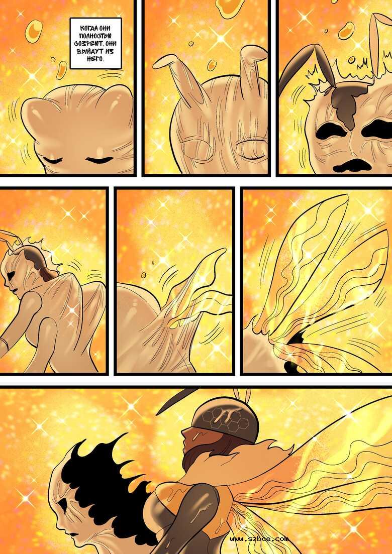 [英文]Mellifera Vita