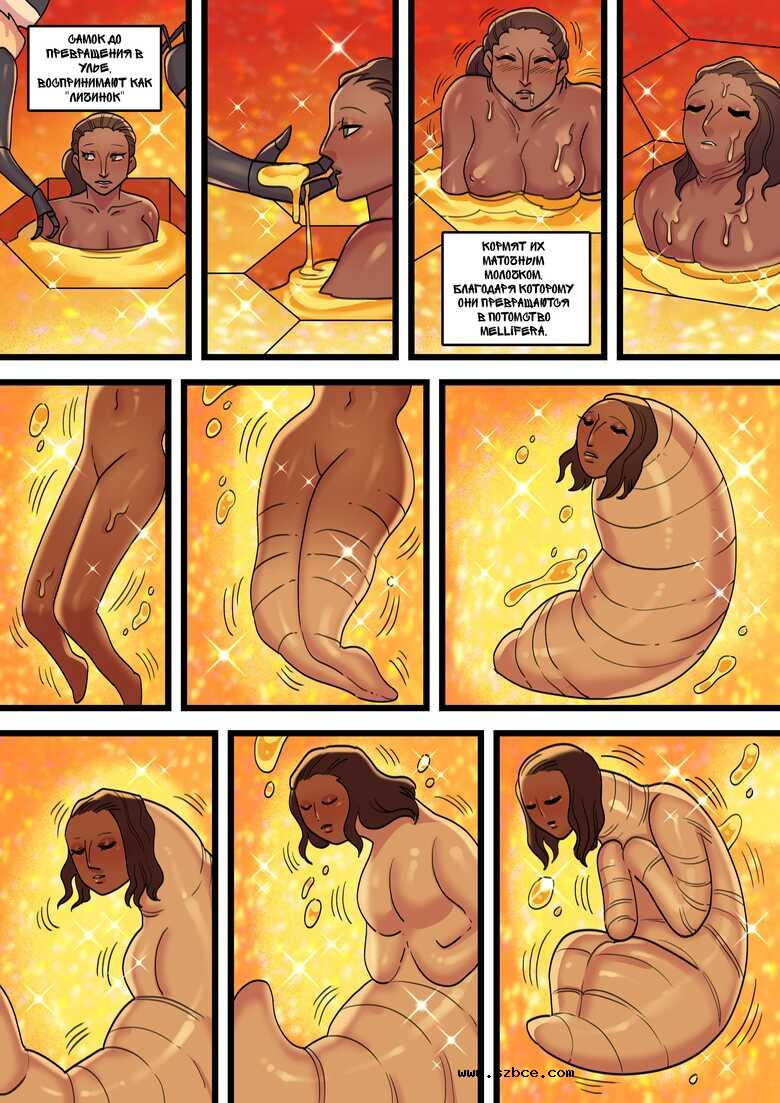 [英文]Mellifera Vita