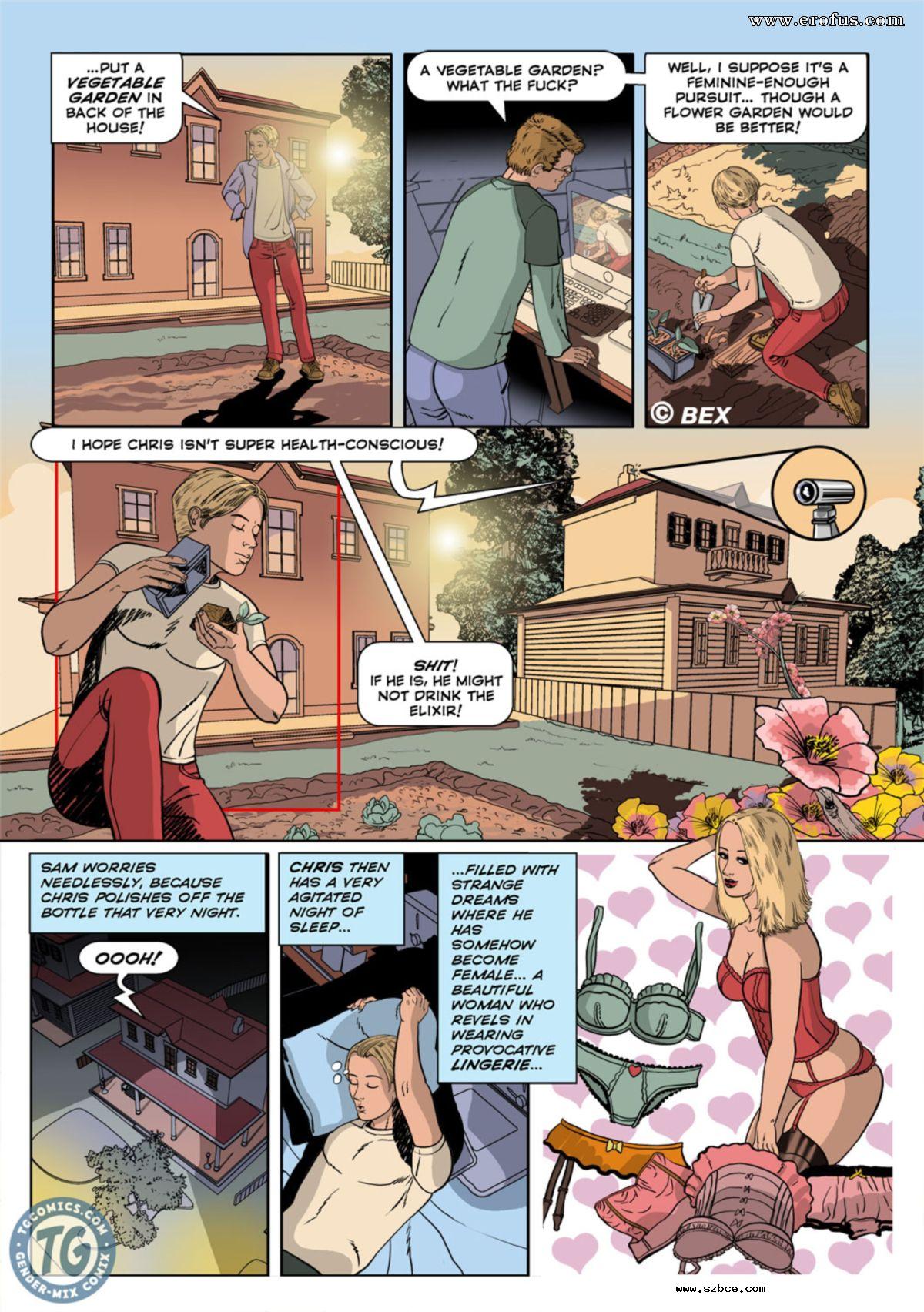 [英文]The Alchemist 1