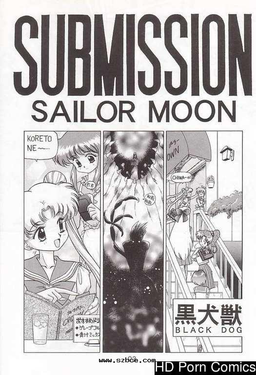 [英文]Submission sailormoon