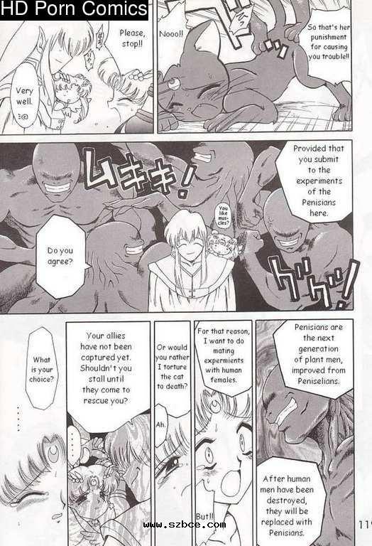 [英文]Submission sailormoon