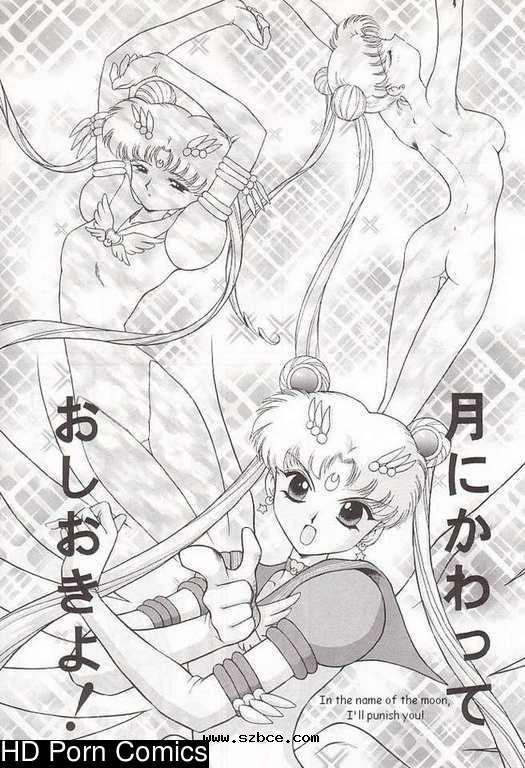 [英文]Submission sailormoon