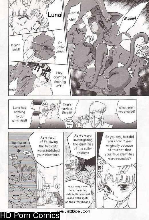 [英文]Submission sailormoon