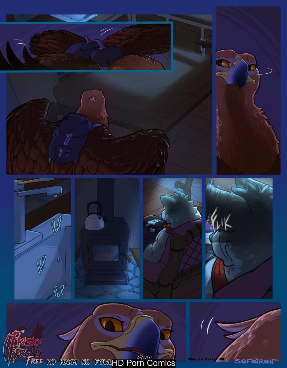 [英文]No Harm No Foul