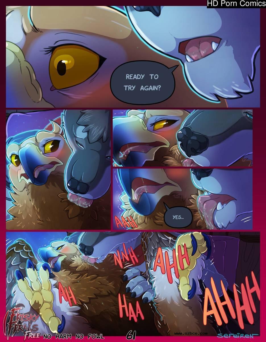 [英文]No Harm No Foul