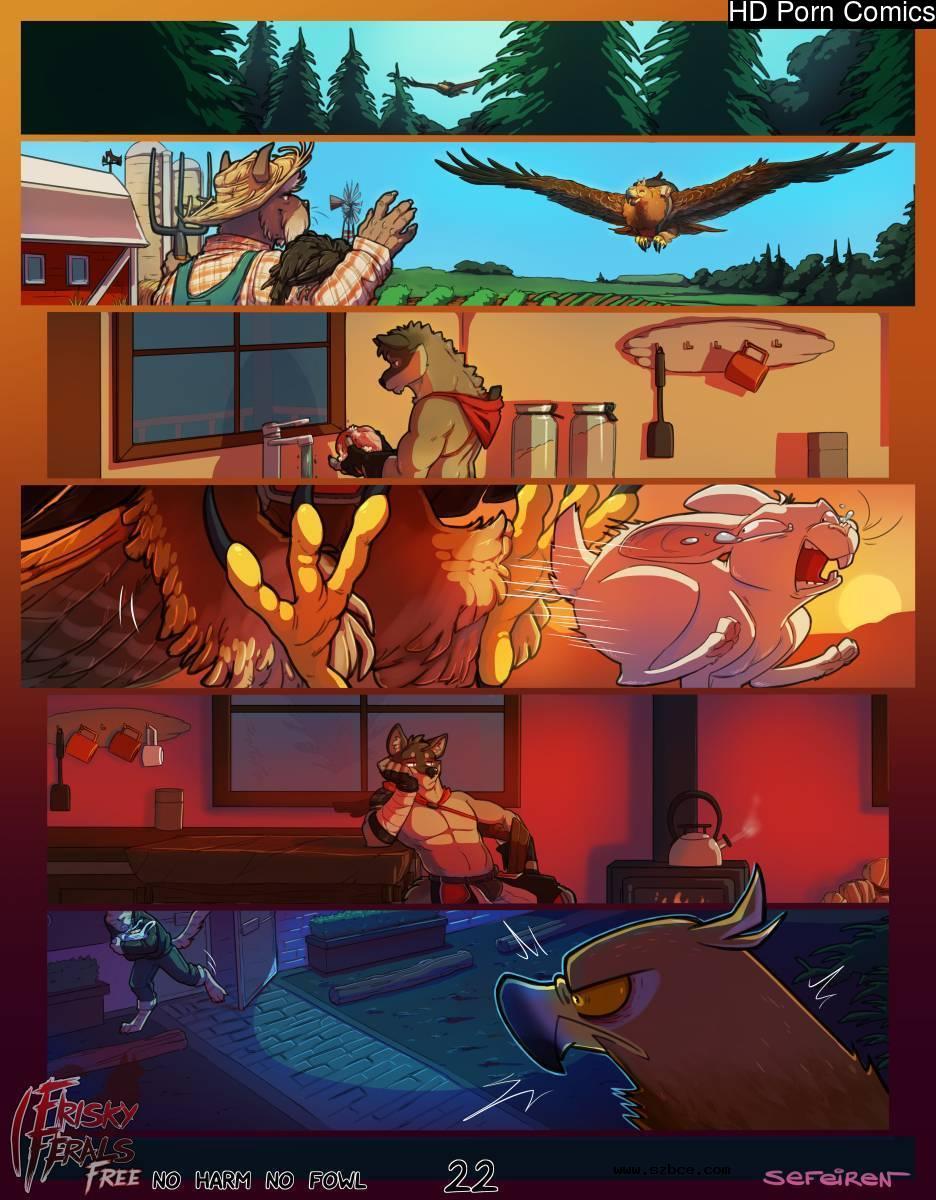 [英文]No Harm No Foul