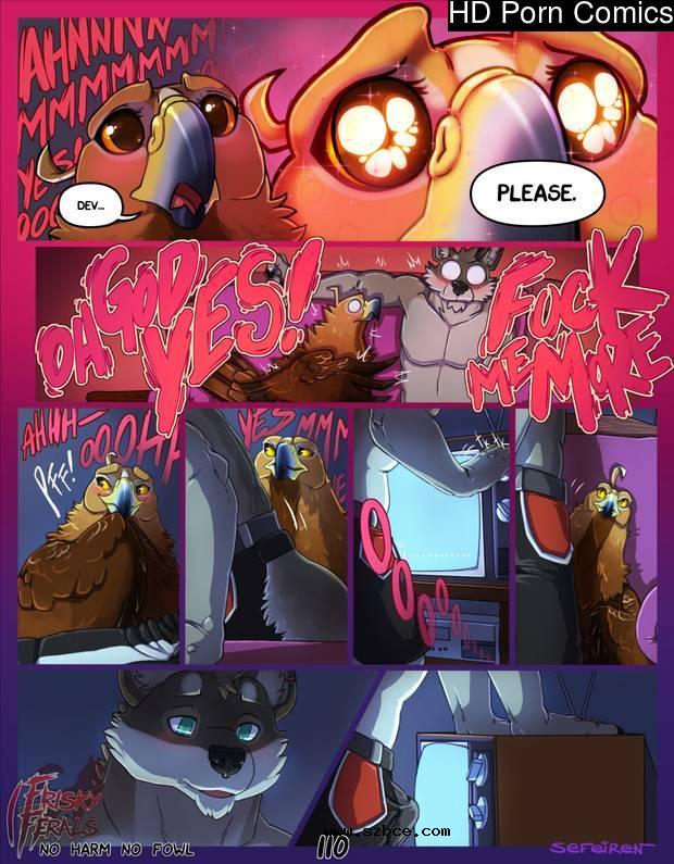 [英文]No Harm No Foul