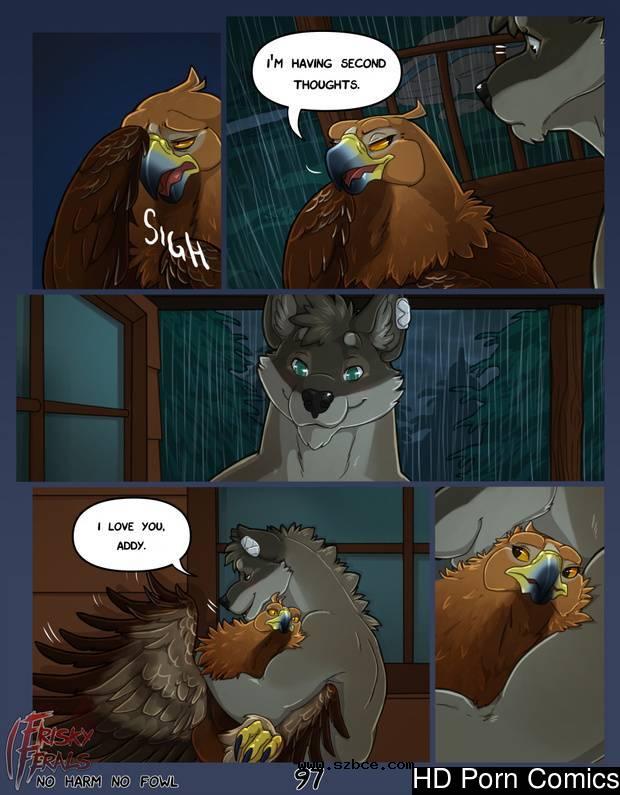 [英文]No Harm No Foul