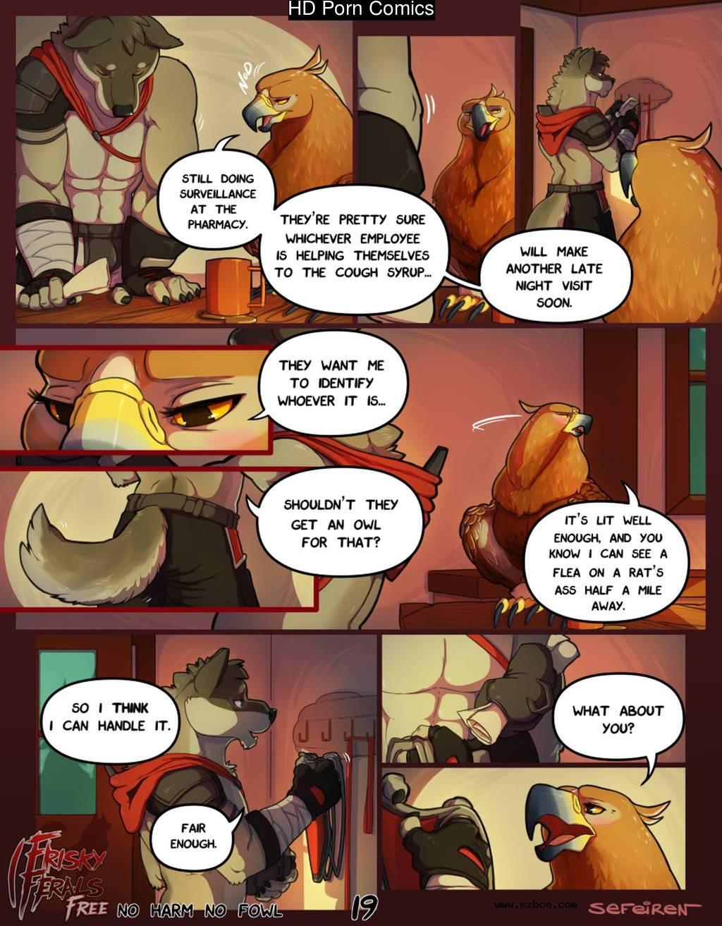 [英文]No Harm No Foul