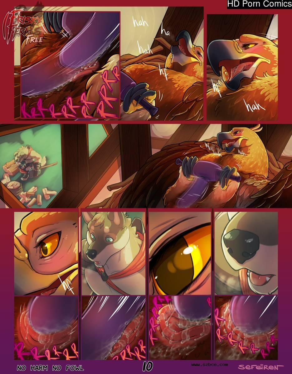 [英文]No Harm No Foul