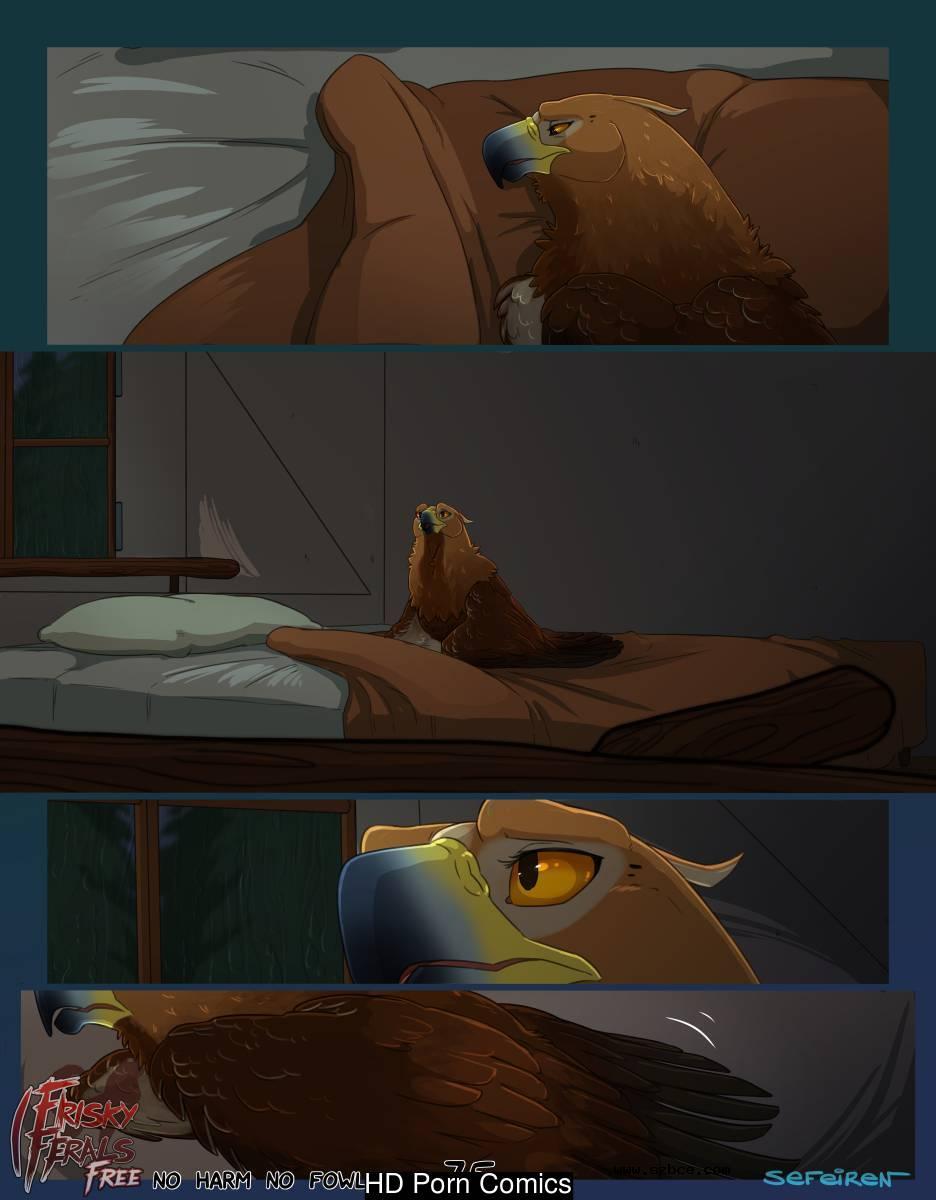 [英文]No Harm No Foul