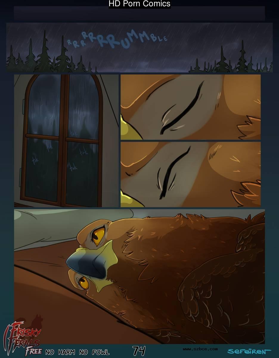 [英文]No Harm No Foul