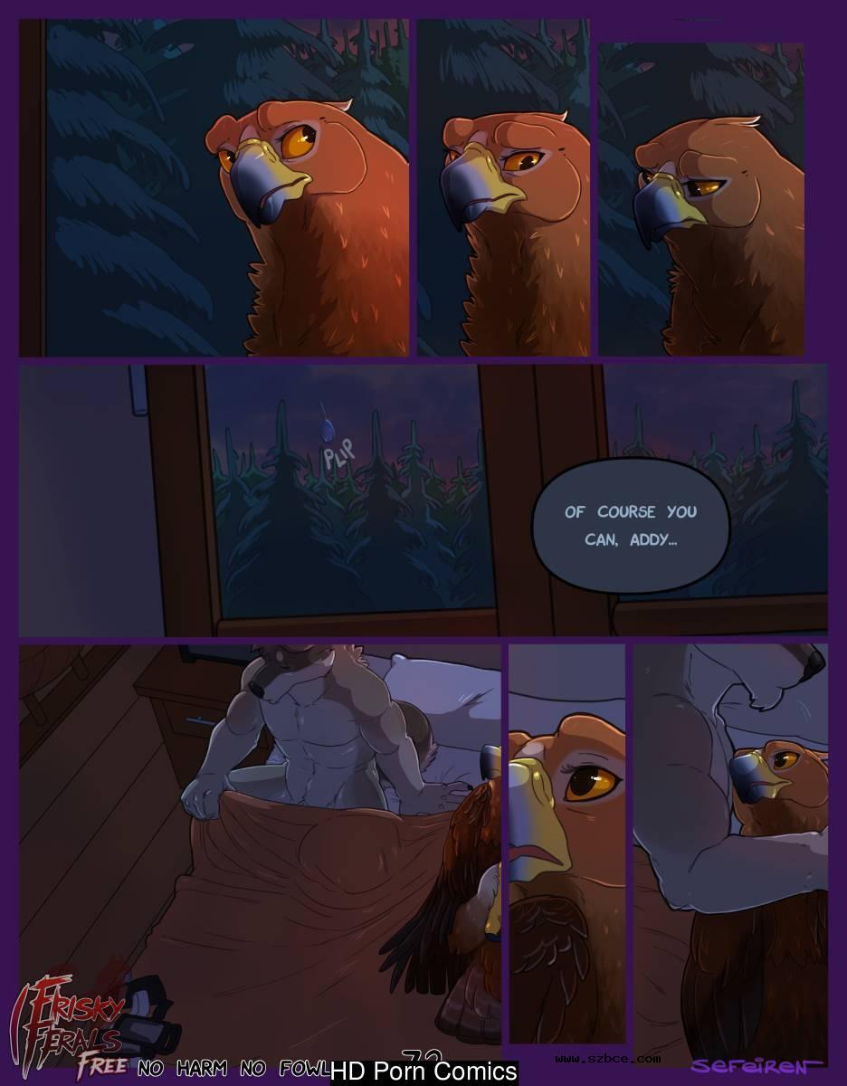 [英文]No Harm No Foul