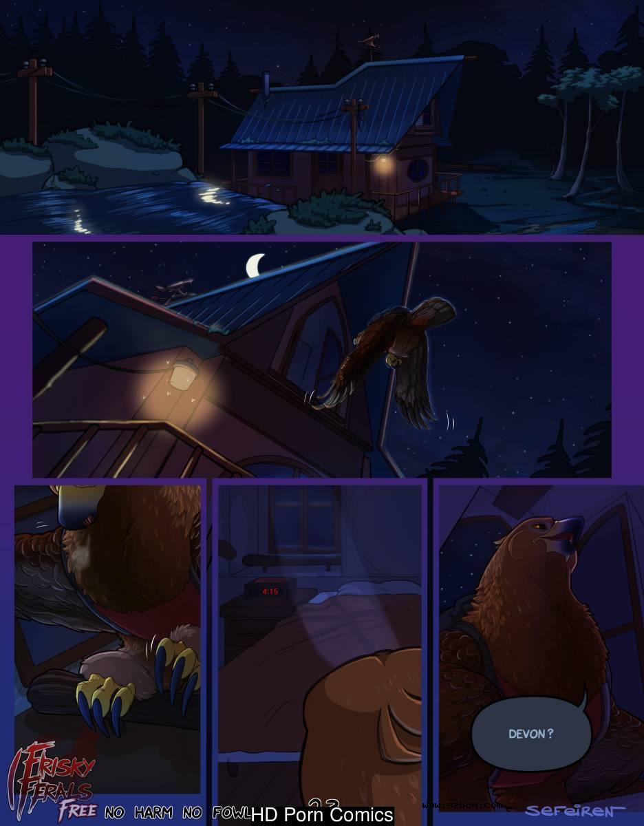 [英文]No Harm No Foul