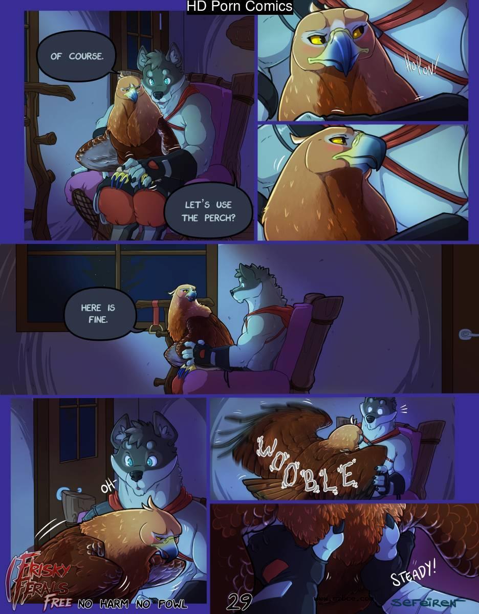 [英文]No Harm No Foul