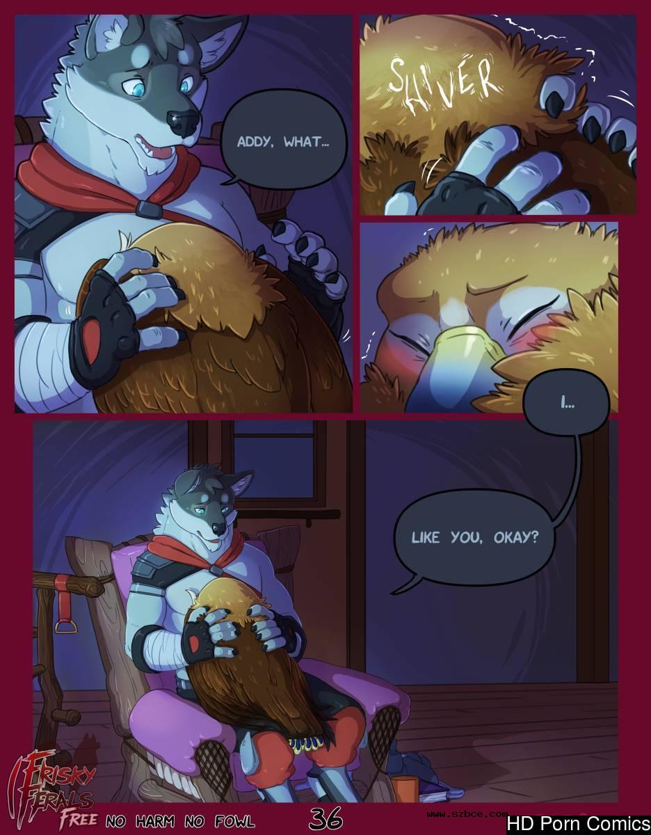 [英文]No Harm No Foul