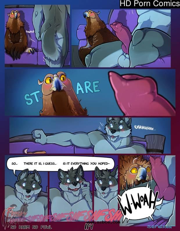 [英文]No Harm No Foul