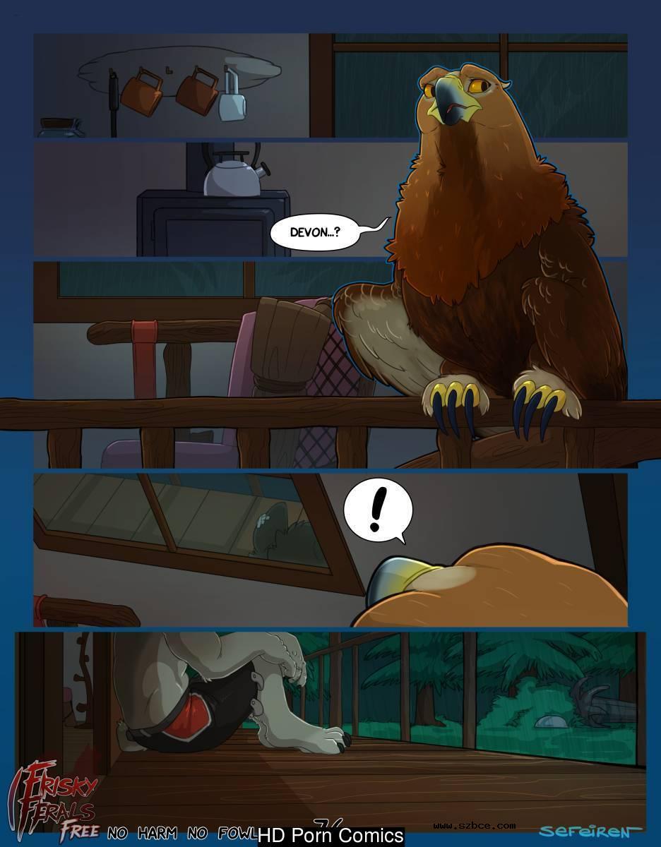 [英文]No Harm No Foul