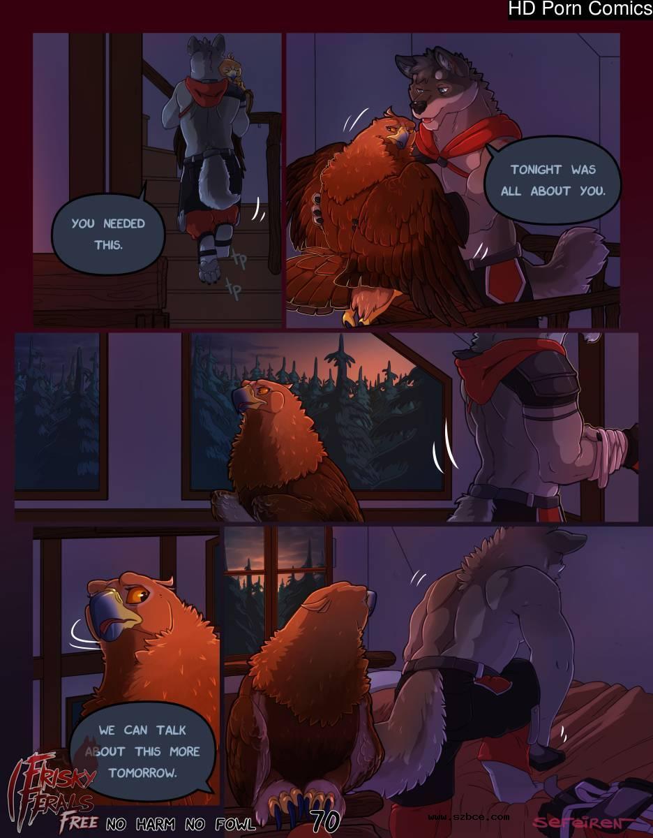 [英文]No Harm No Foul