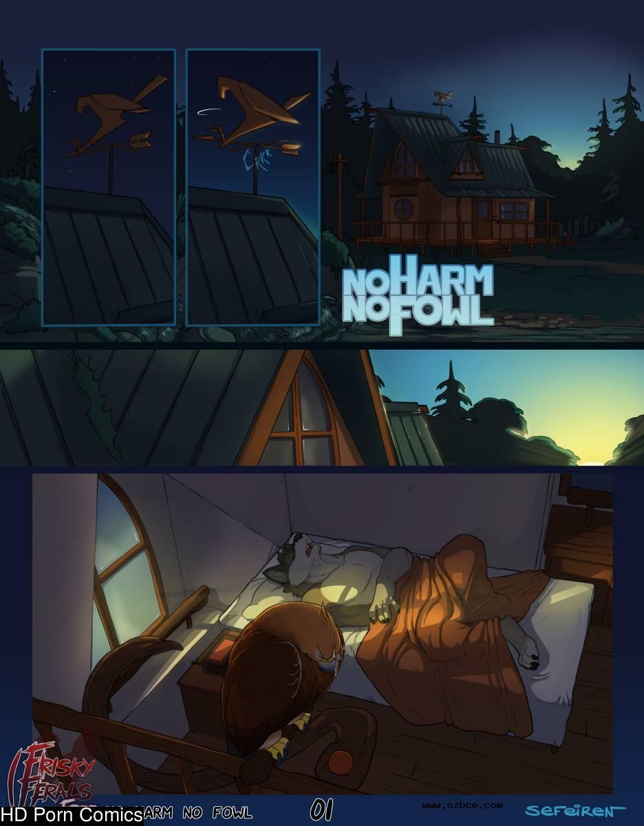 [英文]No Harm No Foul