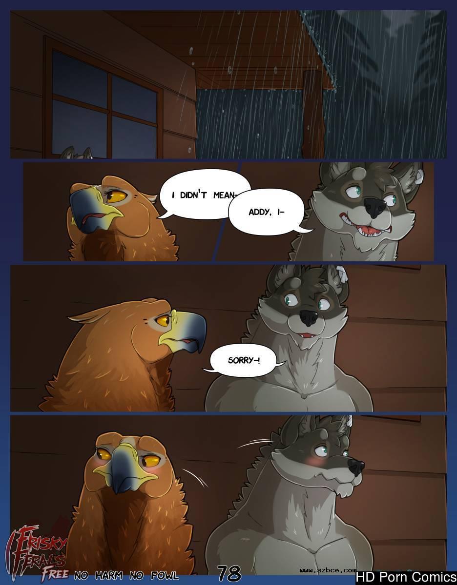 [英文]No Harm No Foul