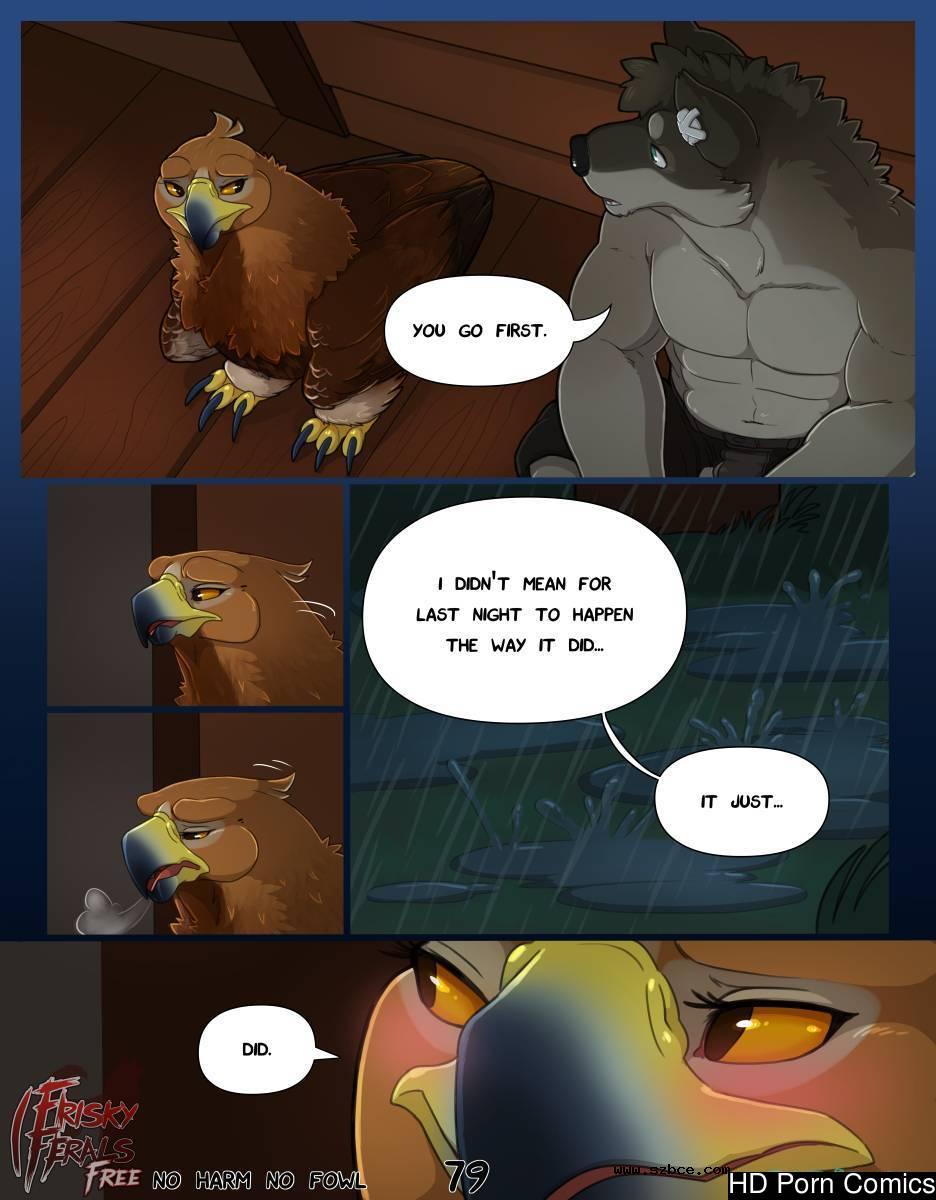 [英文]No Harm No Foul