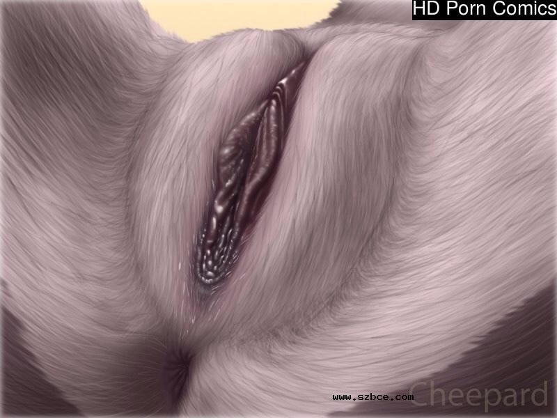 [英文]Female Furries