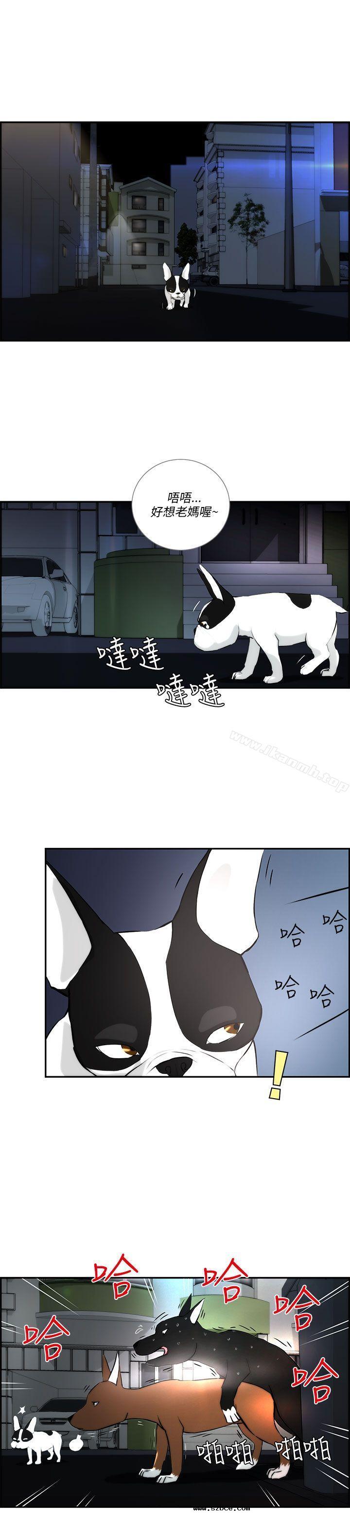 【全彩韩漫】變成狗的男人 第1~3話 【全彩韩漫】變成狗的男人 第1~3話