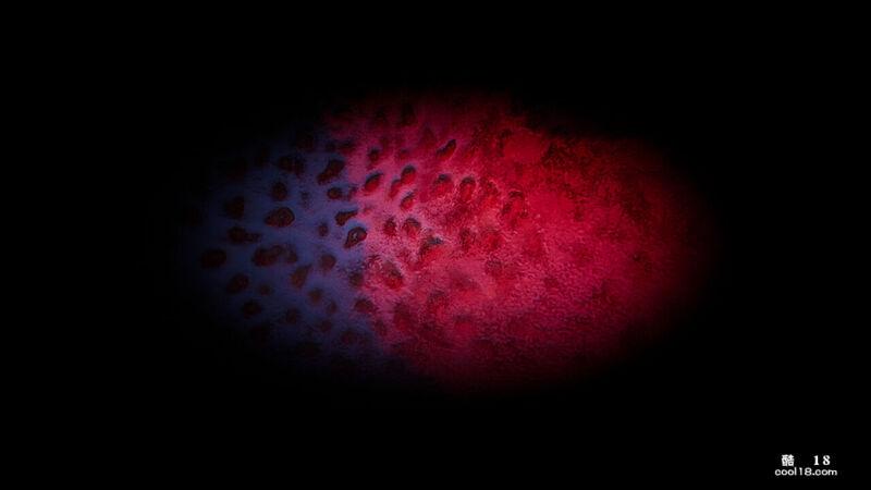 【3D】黑神话悟空同人—破茧（上）