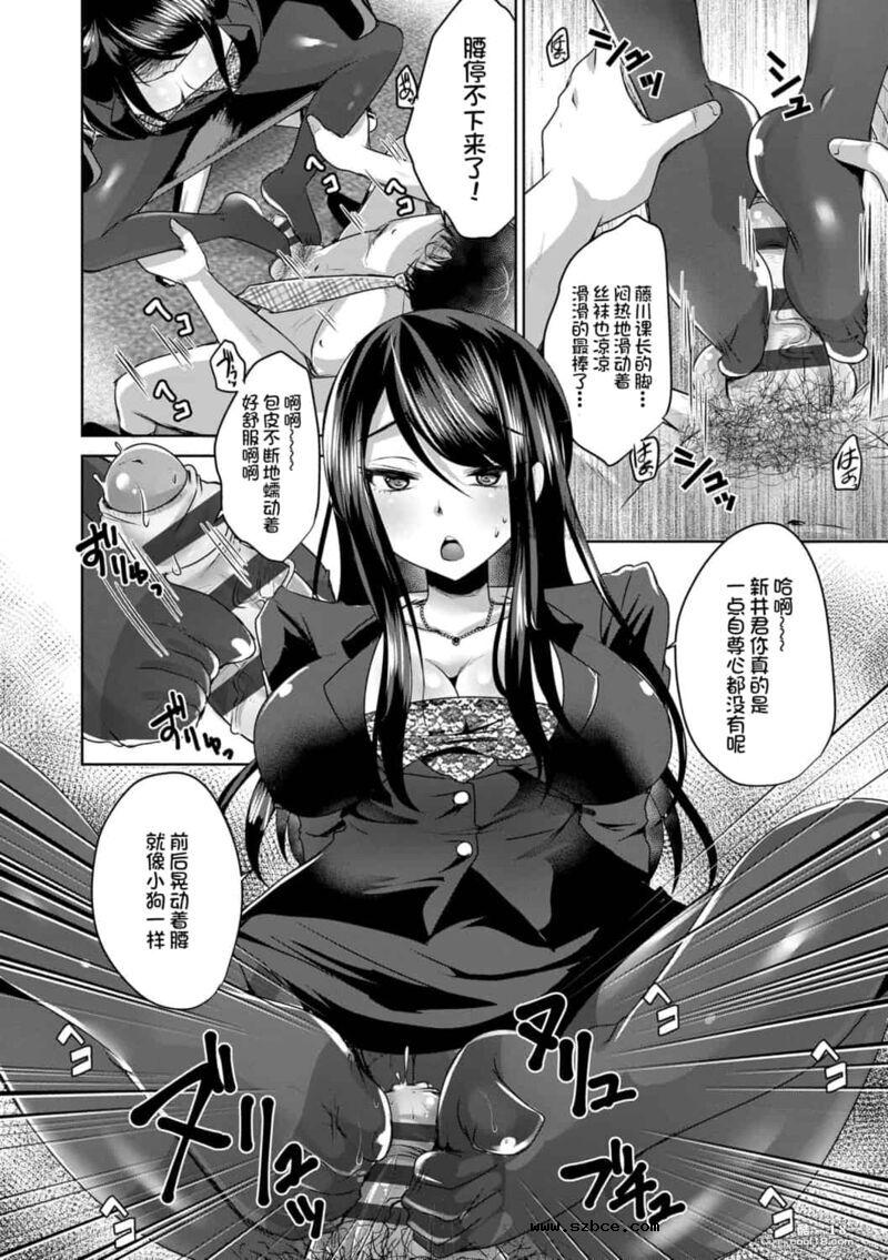 【中文】阿什菲蒂舒