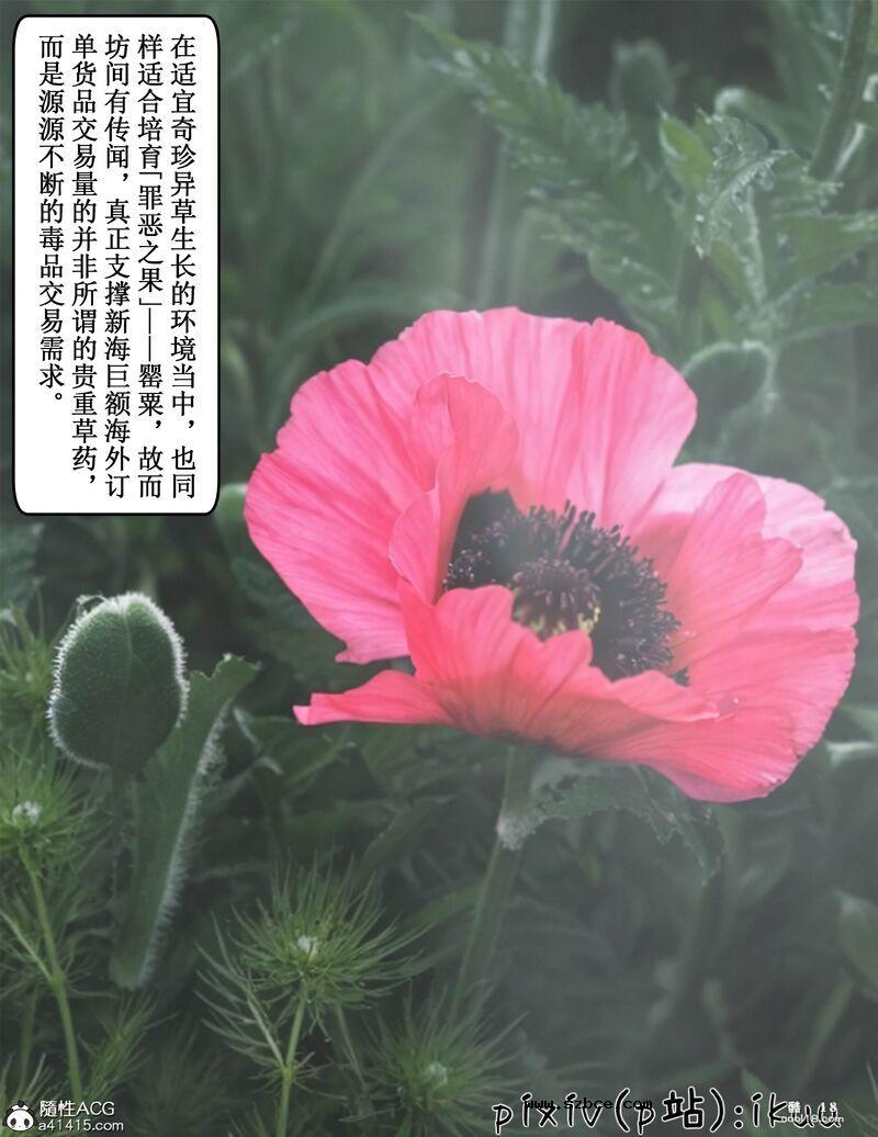 【3D】玫瑰的沉沦（1）